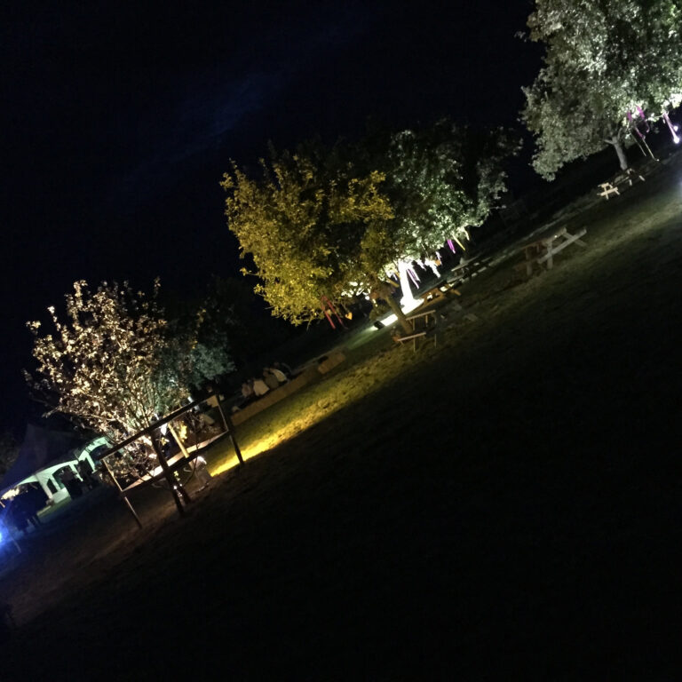 Congratulations & Illuminations