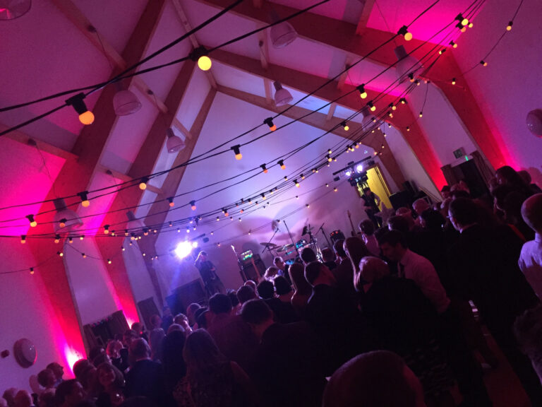 Wedding Festoon