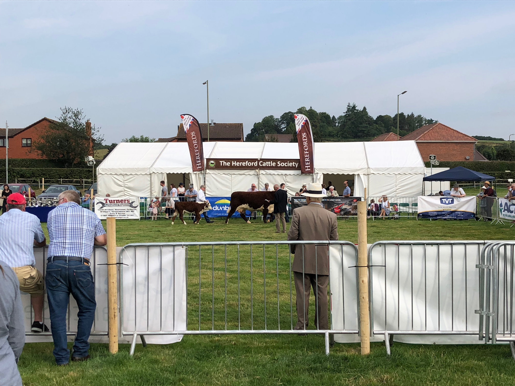 Hereford Society National Breed Show