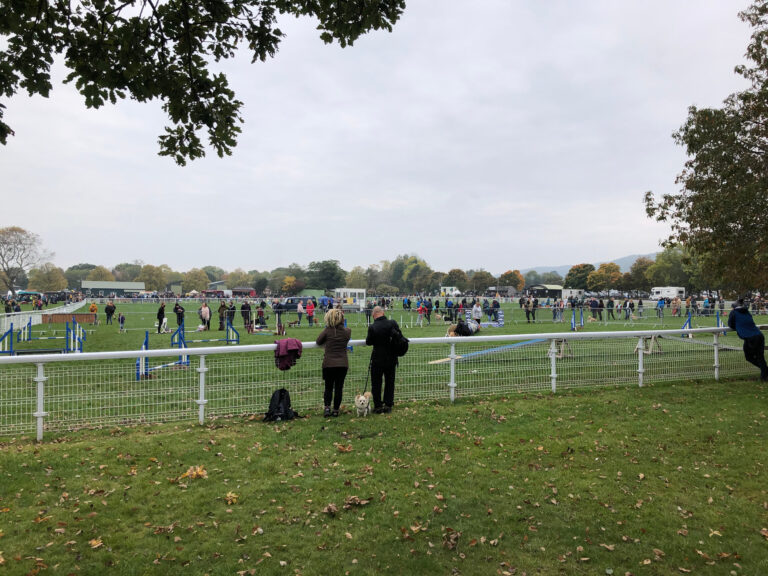 Event Safety at Dogtastic