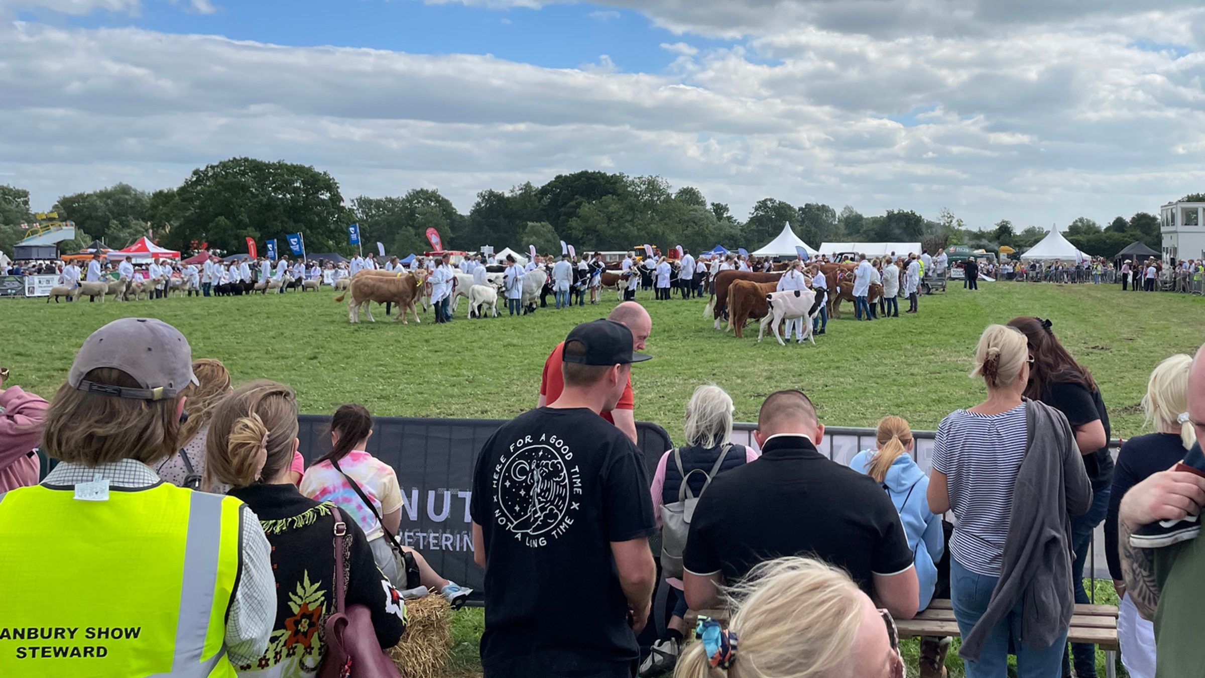 Stewarded livestock ring at Hanbury Show