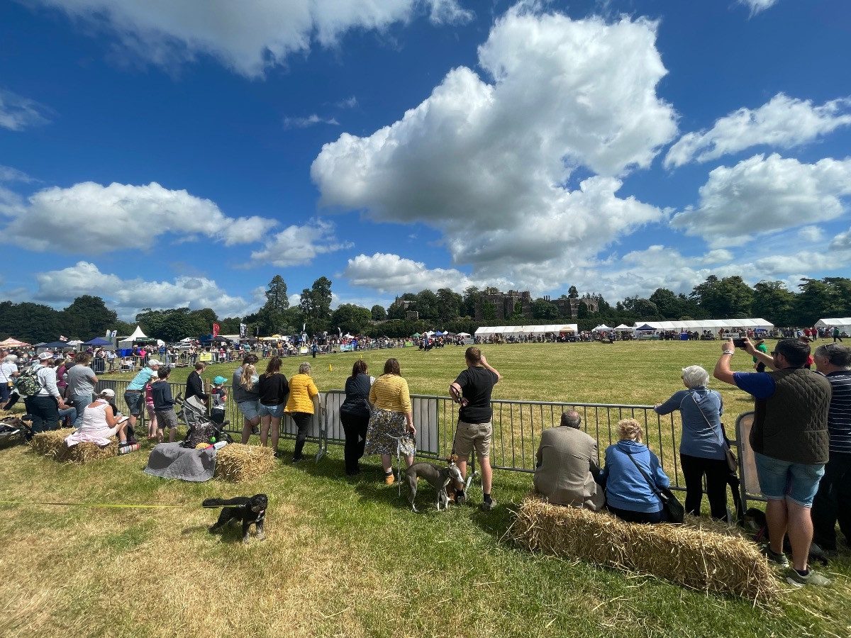 Show crowd watching the main arena