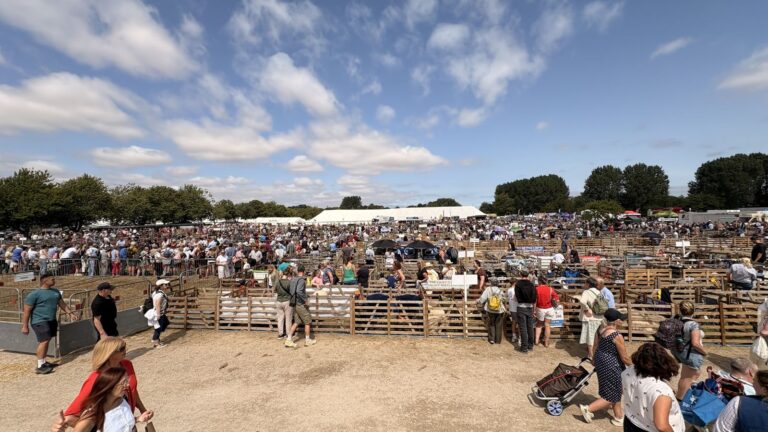 Visitors around the livestock pens at Driffield Show