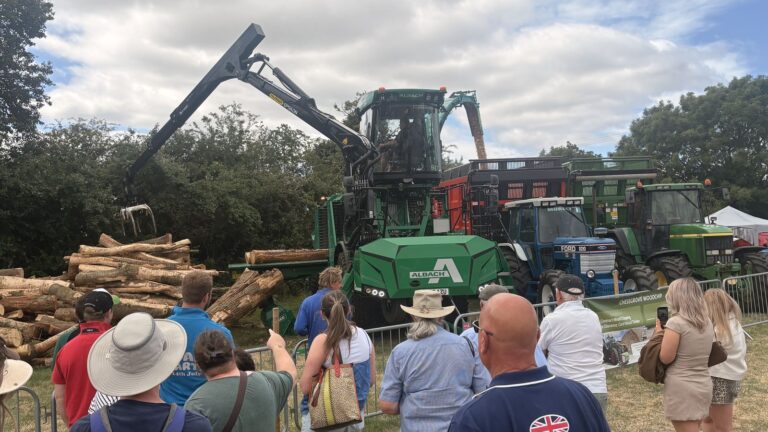 Visitors watching a timber processing demonstration in the forestry area at Hanbury Show