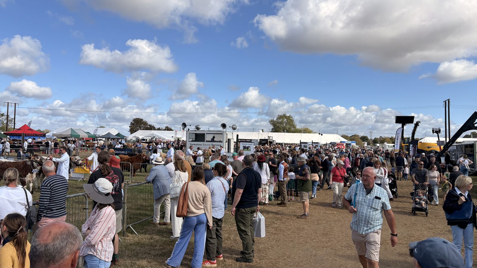 Moreton Show